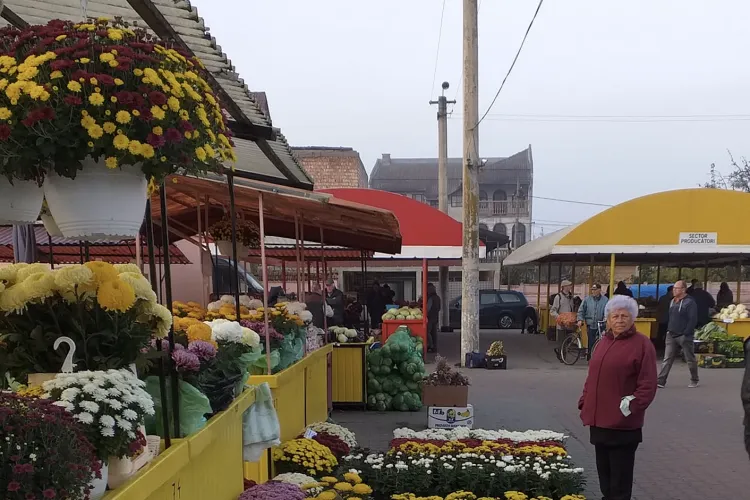 De la ospătar în Luxor la vânzător în Gherla: Povestea incredibilă a lui Mahomed, tânărul care a devenit starul pieței locale!