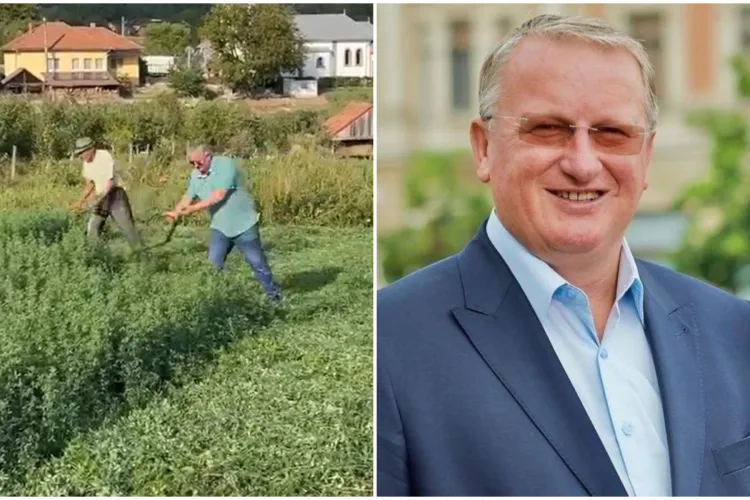 VIDEO. Concurență pentru Emil Boc. Deputatul clujean Remus Lăpușan s-a înarmat cu o coasă și le-a arătat tuturor cum se face