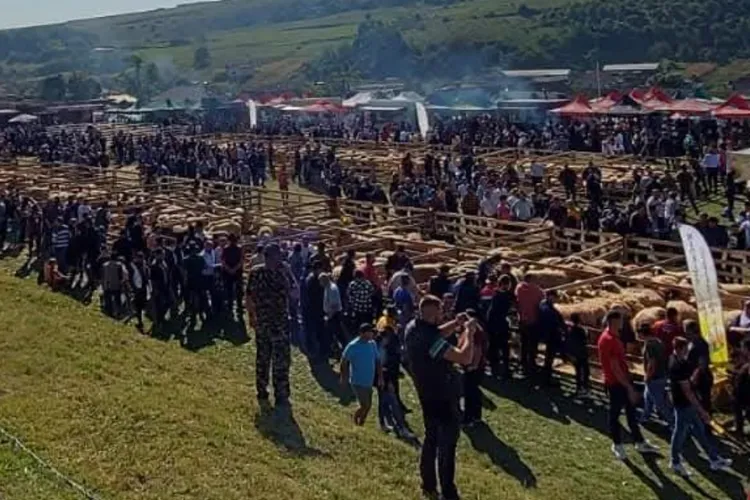 Cluj: Eveniment așteptat de sute de fermieri din Transilvania, anulat brusc din cauza unui focar de pestă porcină 