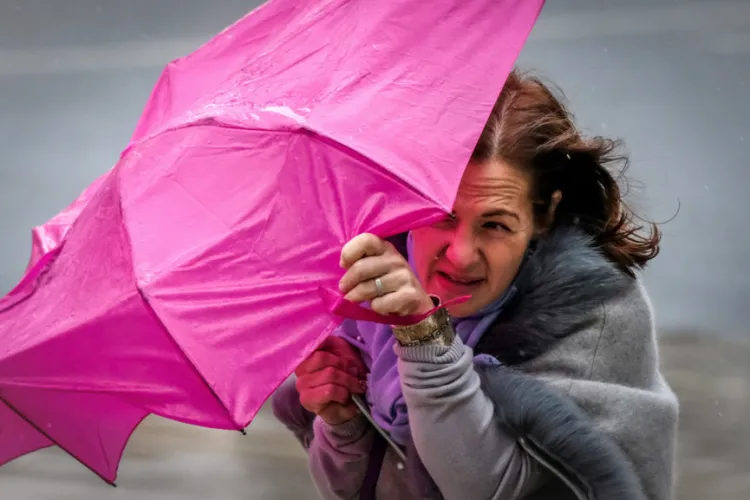 Vânt extrem în Cluj: Cod galben de vreme extremă! Rafale de până la 110 km/h pot provoca accidente și pagube!