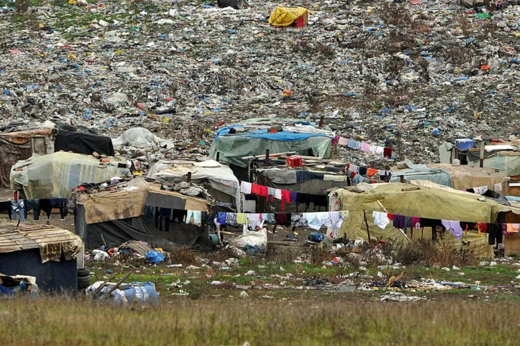 Un activist cere Dianei Buzoianu să rezolve situația clujenilor de la Pata Rât: „Fără acțiune, orice discurs despre o Românie verde e ipocrit!” VIDEO