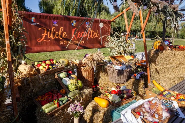 Zilele Recoltei revin la Cluj-Napoca. Când are loc marea sărbătoare așteptată de toți clujenii. Surprizele pregătite de organizatori