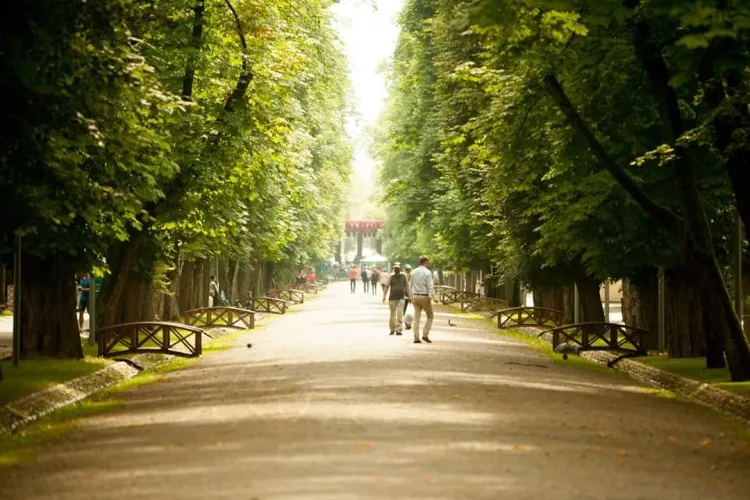 Cluj-Napoca: Clujenii cer un bust al lui Simion Bărnuțiu în parcul care îi poartă numele: „Împlinește 200 de ani de la înființare”