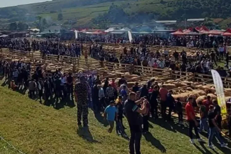 Cluj: Evenimentul așteptat de sute de fermieri din Transilvania, anulat din cauza focarului de pestă porcină, a fost reprogramat. Când va avea loc 