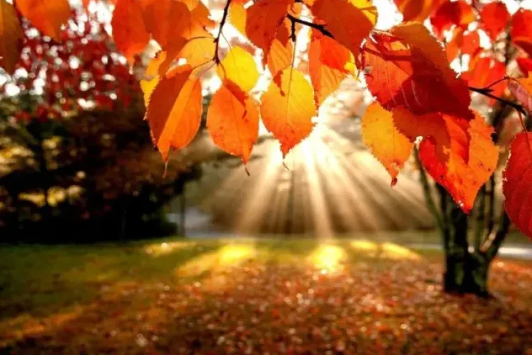 Ce NU ți s-a spus despre echinocțiul de toamnă! Ziua este încărcată de tradiții populare românești