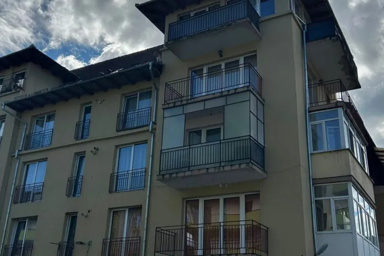 Caz șocant în Cluj: Un câine a fost văzut pe acoperișul unui bloc din Florești. „Urgență maximă! Cine îl cunoaște pe proprietar?” FOTO