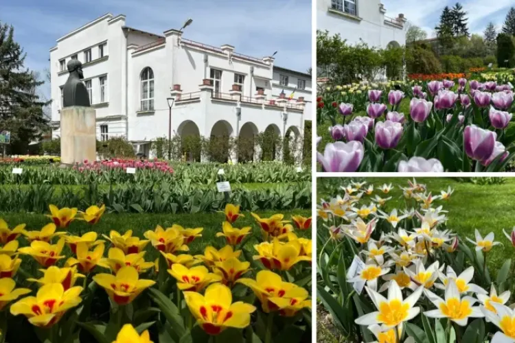 Spectacol unic la Grădina Botanică! Clujenii, așteptați într-un număr cât mai mare să admire ceva ce nu au mai văzut până acum