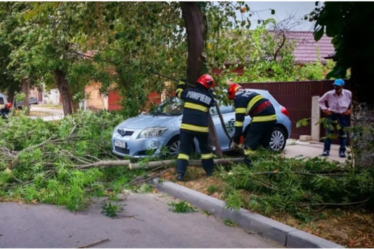 Un trotuar din Cluj-Napoca este blocat de copaci și trotinete. Elevii, obligați să iasă pe carosabil