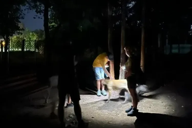 Se lasă întunericul peste Cluj-Napoca! Clujenii se plâng că sunt probleme serioase cu iluminatul public: „E imposibil”