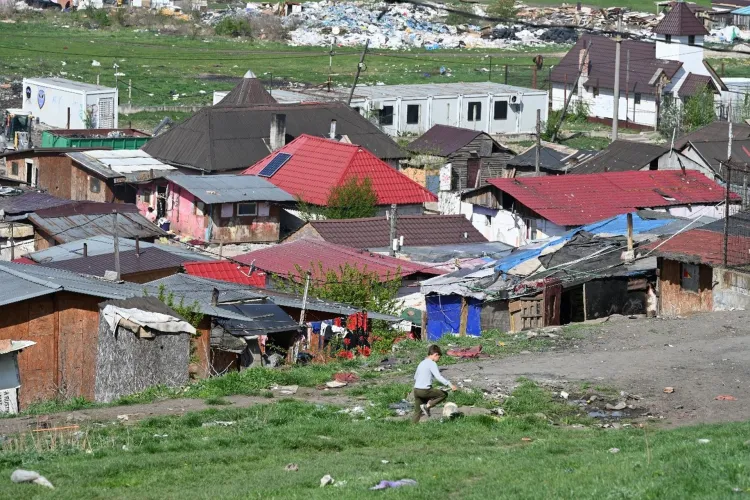 Ecologiștii vor să planteze copaci și să facă ordine la Pata Rât. Un cunoscut activist clujean avertizează că totul ar putea fi un fiasco de zile mari