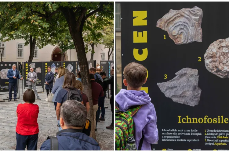 Expoziția „Comori din mările Clujului” s-a deschis oficial! Fosile spectaculoase, povești fascinante și invitați de prestigiu. Vezi programul complet 
