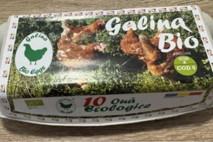 Produse cu risc de contaminare cu salmonella retrase din Kaufland și Mega Image. Care sunt acestea și magazinele unde au fost comercializate