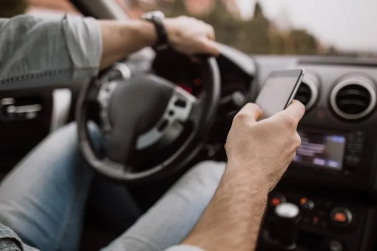 Măcel de nedescris observat de un clujean pe drumurile din oraș! Acesta a remarcat zeci de cazuri și dă vina pe neatenția șoferilor: „Ce aveți cu ei?”