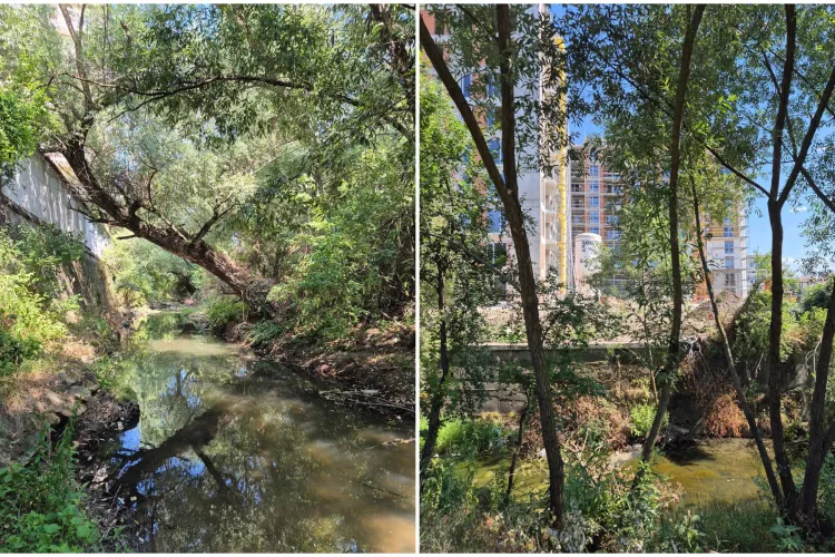 Activistul Adrian Dohotaru îi cere lui Emil Boc să salveze un râu important care traversează Cluj-Napoca: „Avem nevoie de un parc liniar de 50 de hectare”