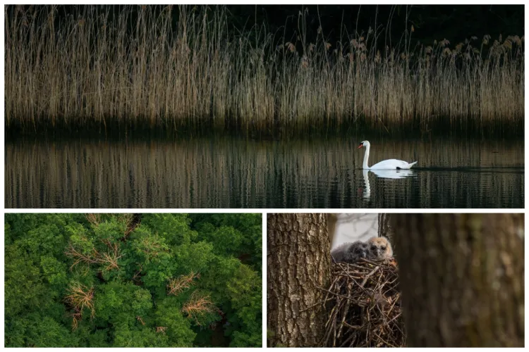 IMAGINI DEOSEBITE La 10 minute de Cluj-Napoca, natura e mai exotică decât în locații faimoase. Semnal de alarmă tras de un fotograf clujean