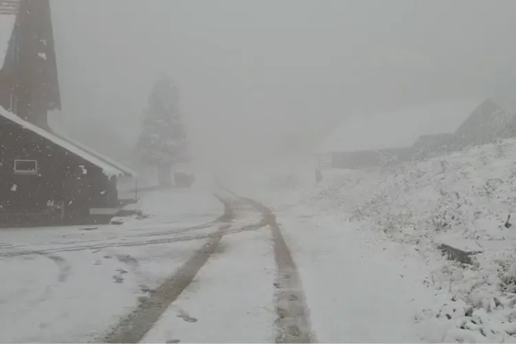 Iarna își face simțită prezența! A căzut prima zăpadă la munte, iar temperaturile au scăzut drastic. Cum va fi vremea la Cluj FOTO