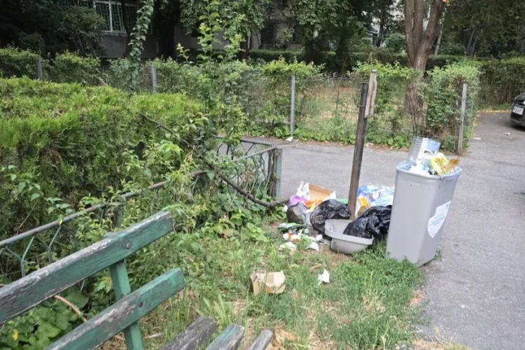Spațiu verde din Cluj devastat! Ulei, sticlă și plastic lăsate de șoferi neregulamentari au stârnit revoltă în zona Hunedoarei. Autoritățile, chemate