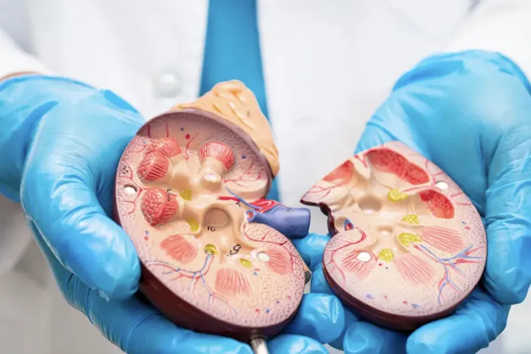 Părinți eroi la Cluj: Aceștia și-au donat rinichi pentru copiii lor, oferindu-le o nouă viață! ICUTR continuă seria de transplanturi pediatrice