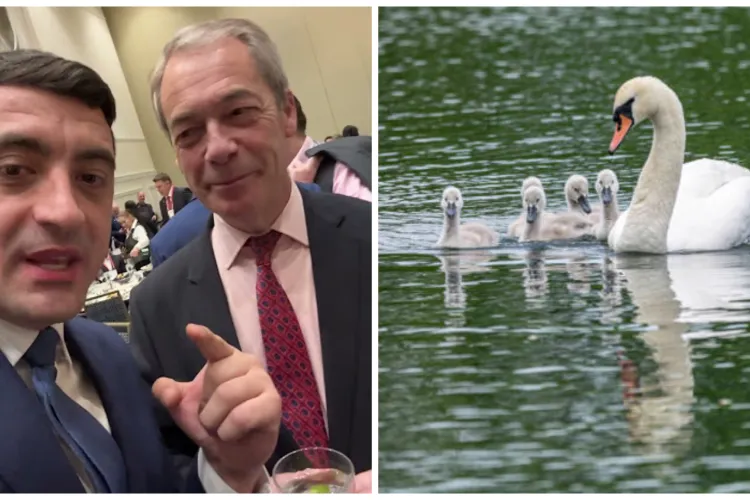 Unul dintre „modelele” lui Simion, atac dur la adresa românilor: Nigel Farage susține că est-europenii mănâncă lebede și fură crapi din iazuri