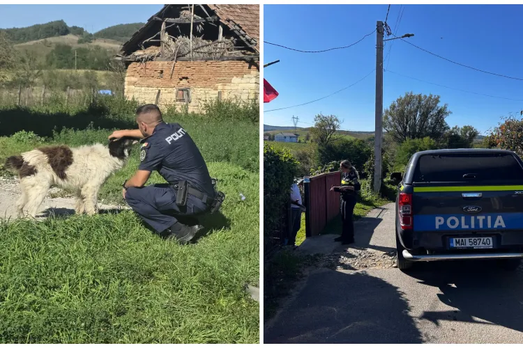 Polițiștii clujeni nu iartă: Zeci de sancțiuni aplicate într-o singură zi pentru cei care au încălcat legea privind protecția animalelor FOTO