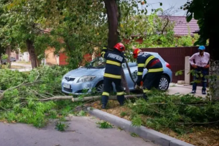 Panică în Mărăști, din cauza unui copac care a căzut peste garaje: „Nu vreau să știu ce se întâmpla dacă ar fi căzut peste un om”