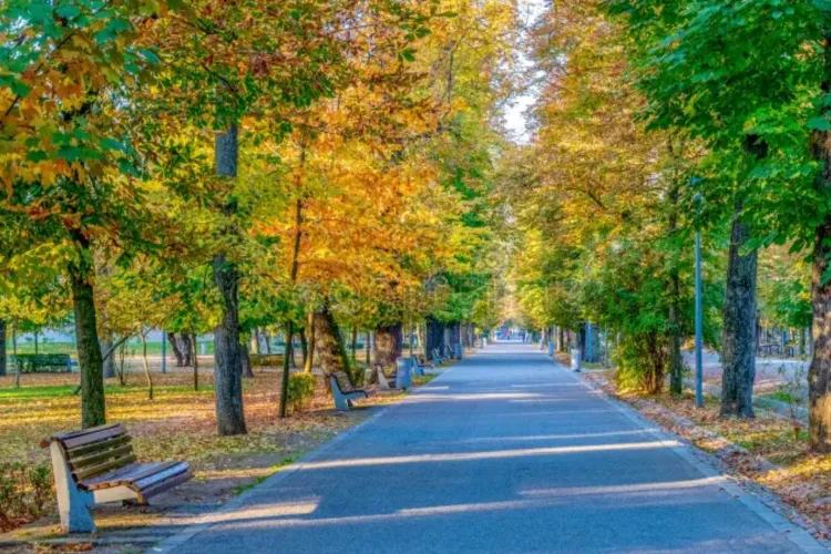 Ce surprize meteo aduce ultima zi din acest weekend, în Cluj: Meteorologii anunță o zi „atipică” pentru luna octombrie