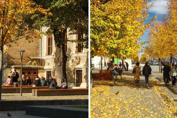 Imagini de poveste din Clujul tomnatic! Emil Boc, fascinat de orașul în culori arămii: „Toamna îi dă un farmec aparte”