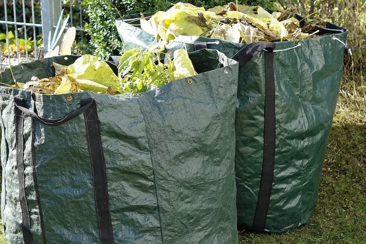 Începe curățenia de toamnă în Cluj! Campanie amplă pornită de Primăria Apahida de colectare a frunzelor și crengilor