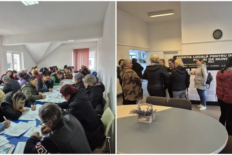 Sprijin uriaș pentru angajații disponibilizați din Cluj: AJOFM organizează Bursa Locurilor de Muncă pentru cei aflați în impas profesional