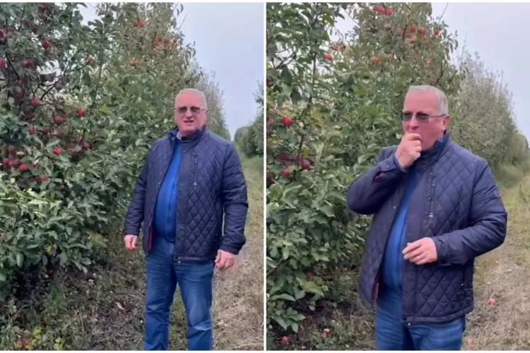 VIDEO. Deputatul clujean Remus Lăpușan a găsit o livadă pe care puțină lume o cunoaște. Aici se găsesc cele mai bune mere din Cluj: „Foarte gustoase!”