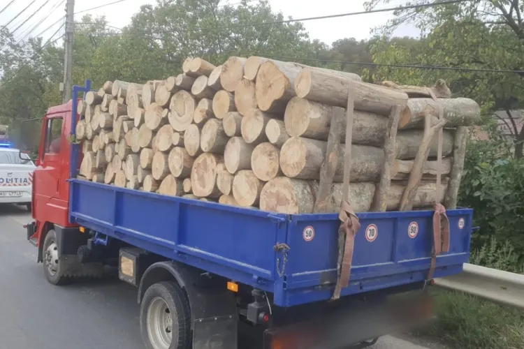 Transport ilegal de lemne depistat în Cluj! Un bărbat transporta aproape 4 metri cubi de lemn fără acte! Amenda a fost una usturătoare
