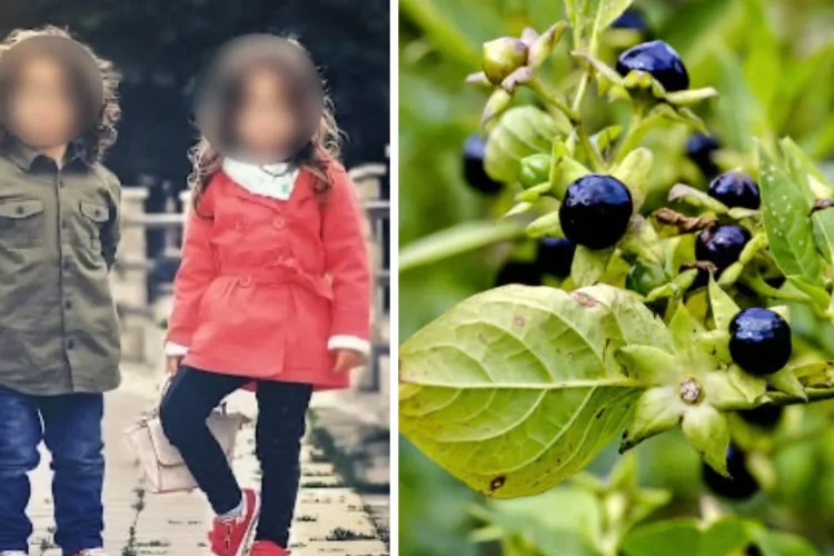 Drama micuților din Cluj: Doi copilași au fost otrăviți din cauza unor fructe toxice și au ajuns de urgență la spital