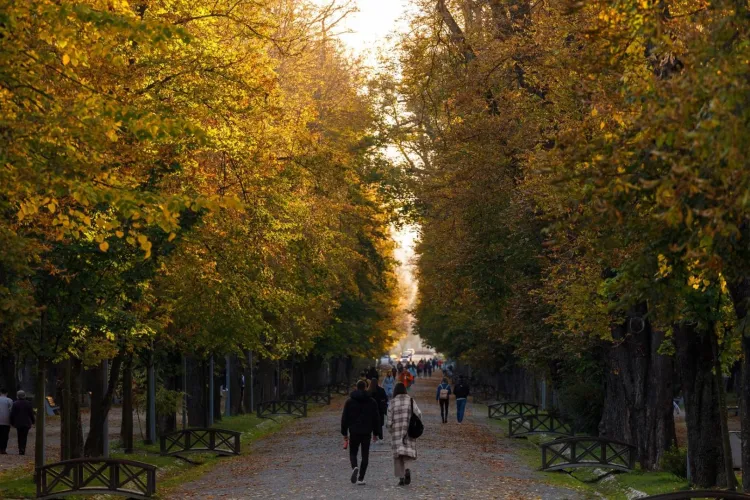 România trece printr-un rollercoaster de temperaturi în următoarele două săptămâni: Ce schimbări de temperatură vor fi în Transilvania