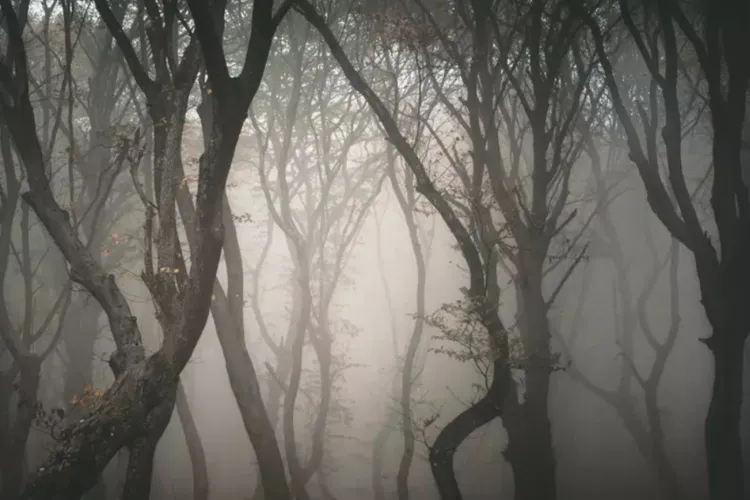 Cluj-Napoca, în topul mondial al destinațiilor pentru Halloween. Lăsăm în urmă zone înfricoșătoare din Franța, Spania sau Marea Britanie