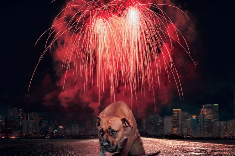 Un alt oraș din Transilvania renunță la artificiile de Revelion: Exemplul a fost preluat din Cluj-Napoca, primul oraș din Ardeal care a făcut asta