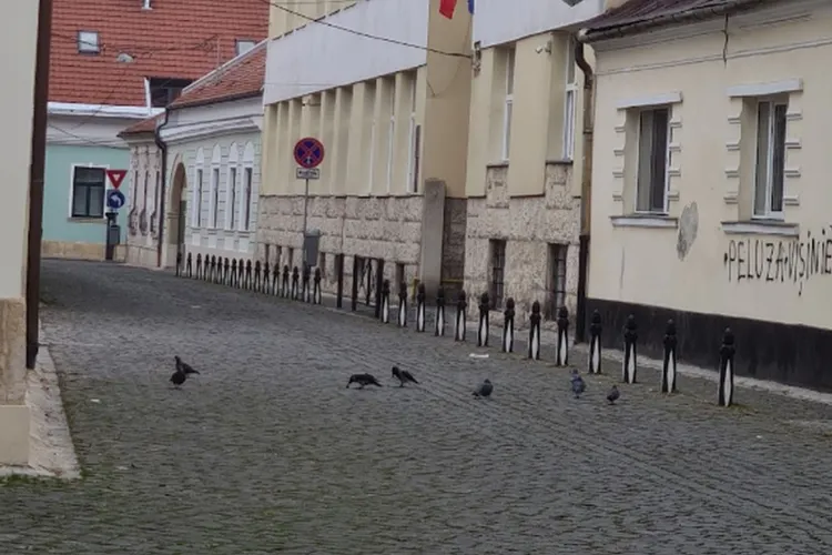 Clujenii sunt sătui de haosul de la o școală din centrul Clujului: Părinți grăbiți, mașini pe trotuar și nicio urmă de poliție locală