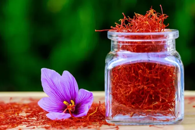 Cel mai scump „tezaur” culinar din lume se găsește în România! „Aurul roșu” se vinde cu 100 de lei gramul:  „Ceva deosebit”