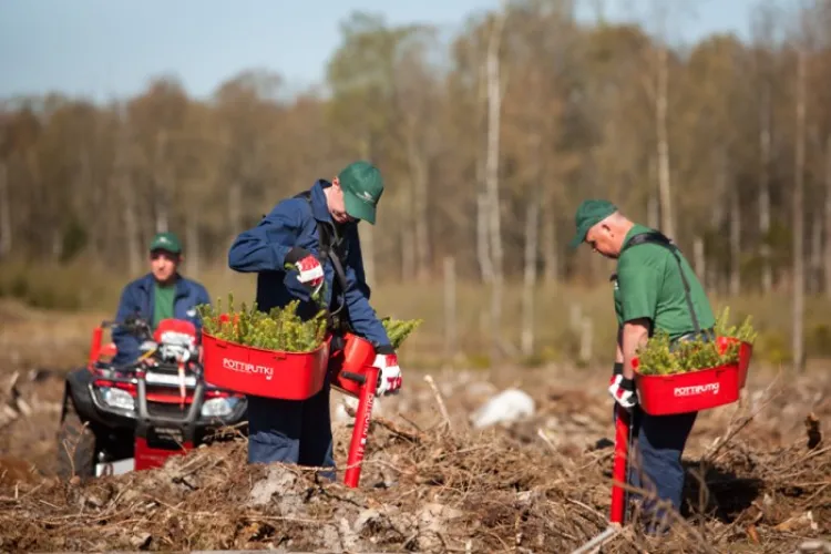 Weekend verde în Apahida! Localnicii se adună să planteze sute de puieți, iar la final îi așteaptă un ceaun delicios!