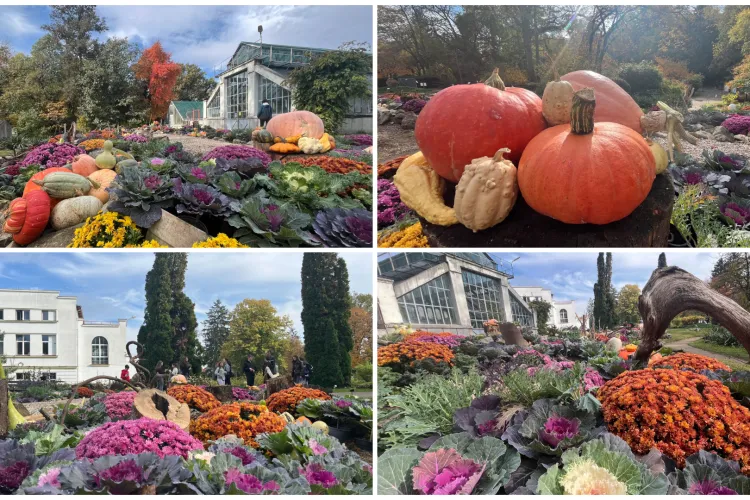 Grădina Botanică din Cluj-Napoca te așteaptă cu un peisaj SUPERB! Pe lângă decor, și programul se schimbă: Află când poți vizita „grădina de toamnă”