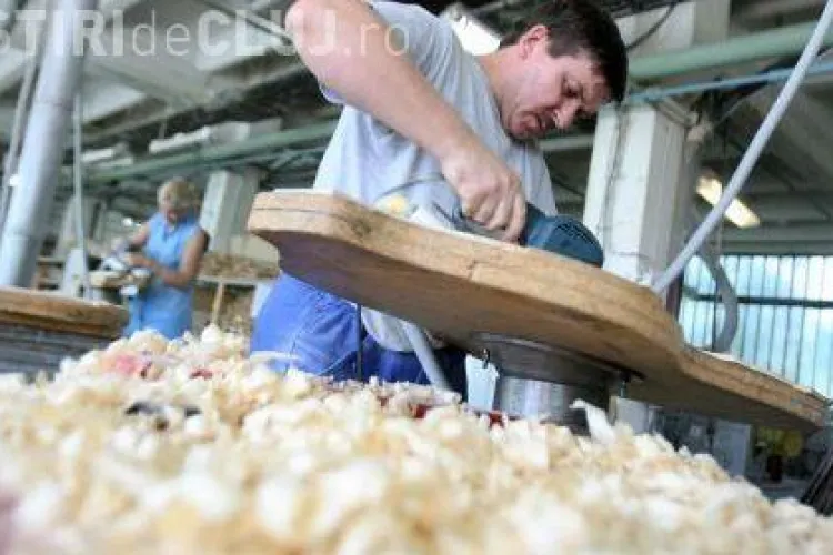 Somerii din Cluj, testati pe simulatoare de meserii ca pilotii de vanatoare in simulatoarele de zbor EXCLUSIV