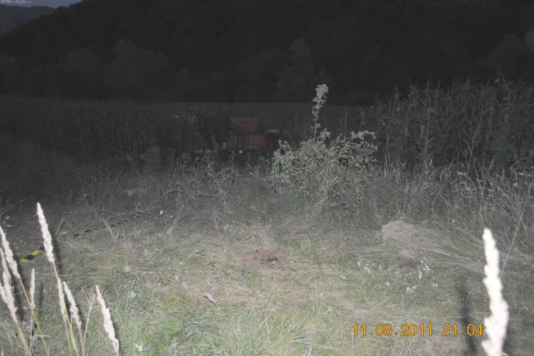 Un barbat a murit dupa ce seceratoarea a cazut peste el - Galerie FOTO