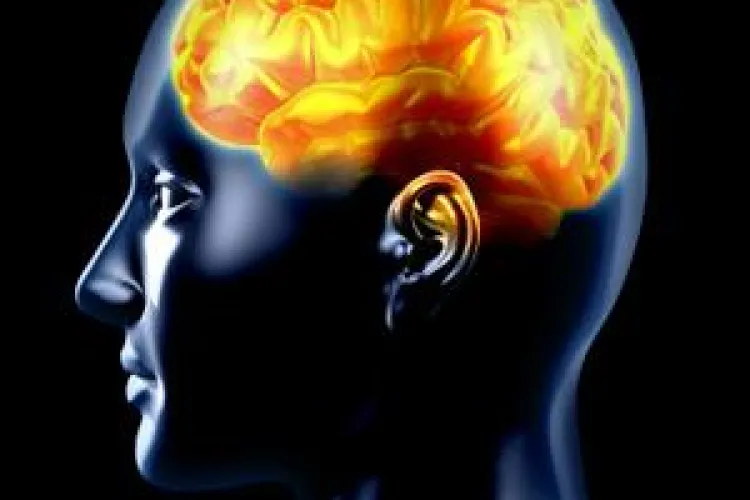 Oamenii au ajuns la apogeul inteligentei. Vezi de ce!