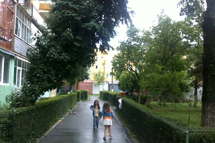 Copiii de pe o strada din Cluj se joaca sub amenintarea unui copac care sta sa cada. RADP a refuzat sa-l taie pe motiv ca "il tine iedera"