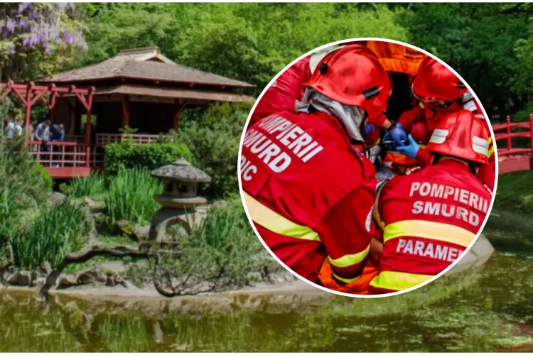O femeie a căzut de la înălțime în Grădina Botanică din Cluj-Napoca.  Victima s-ar fi aruncat din turn - UPDATE