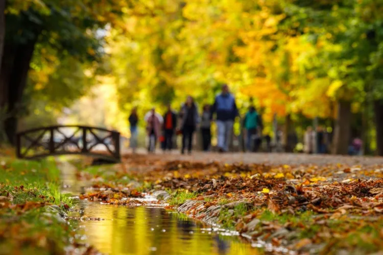 Vreme „atipică” pentru luna noiembrie: Temperaturi cu care nu eram obișnuiți până acum lovesc toată țara. Iată ce trebuie să știi
