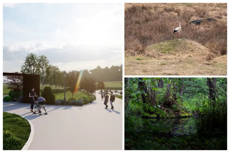 Clujul își distruge natura! Zonă naturală de lângă pădurea Făget, urmează să fie transformată în «parc», pentru fonduri europene: „Retrageți proiectul!”