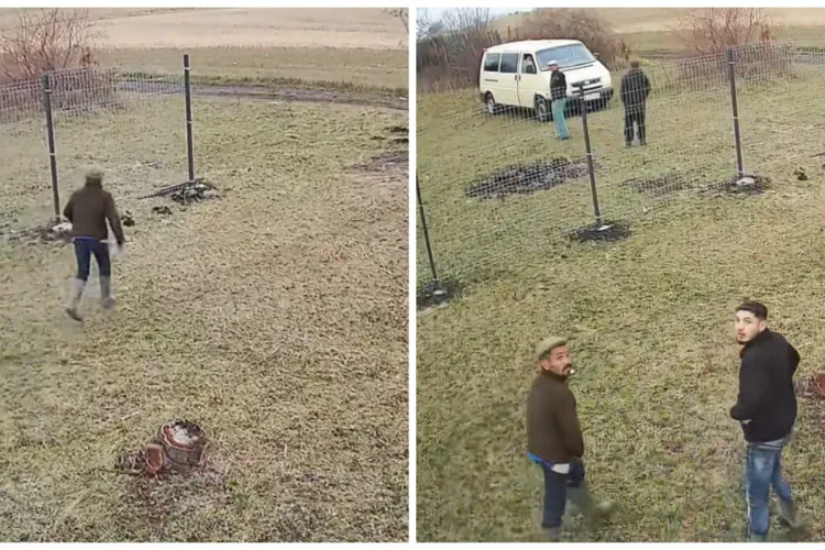 Alertă în Cluj-Napoca! Hoți de lemne, prinși în timp ce încercau să dea marea lovitură: „Au intrat la mine pe teren” VIDEO 