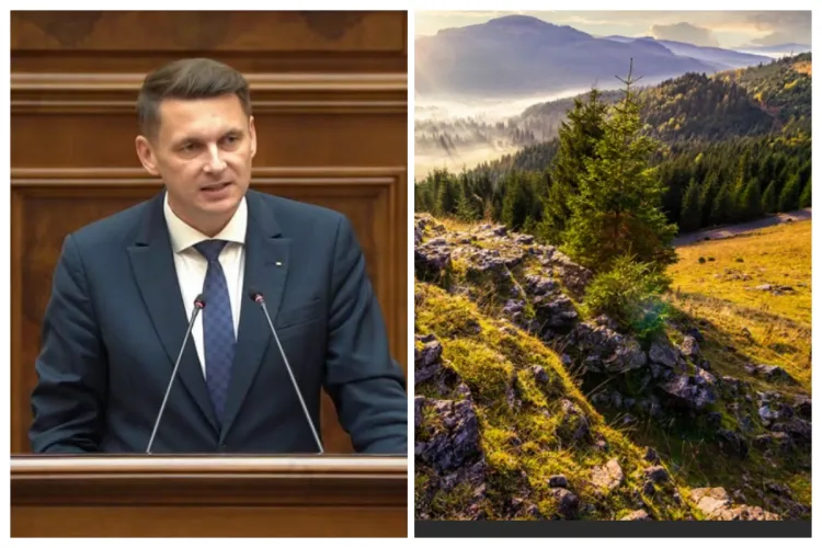 Lege votată în Senat, după ce clujenii au semnalat că hectare întregi din Munții Apuseni se usucă. „Am votat legea intervenției rapide”