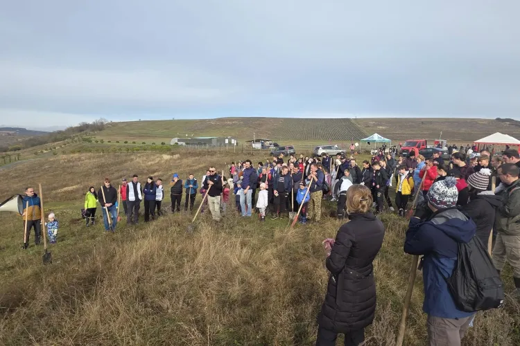 Apahida înverzește! Sute de voluntari au plantat 4.000 de copăcei într-o zi de neuitat: Stejar, paltin, vișin și frasin pentru aer curat