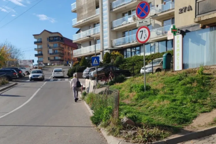 O comună din Cluj „a dat lovitura”: A fost „desenată” o trecere de pietoni care duce fix în spațiul verde. Clujenii au taxat scump gafa - FOTO